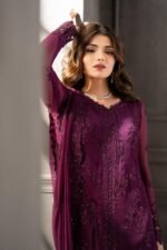 Azure Chiffon Heavy Embroidered 3PC Suit - Image 4